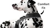 Secure Pet While At Work w/ Waterproof Mini GPS GSM Pet Collar Tracker Size:M