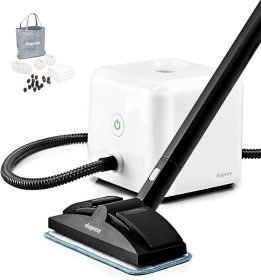 Dupray Neat Steam Cleaner Powerful Multipurpose Portable Steamer for Floors, Cars, Tiles Grout Cleaning Chemical Free (Voltage (V): 110V, Color: Clear)